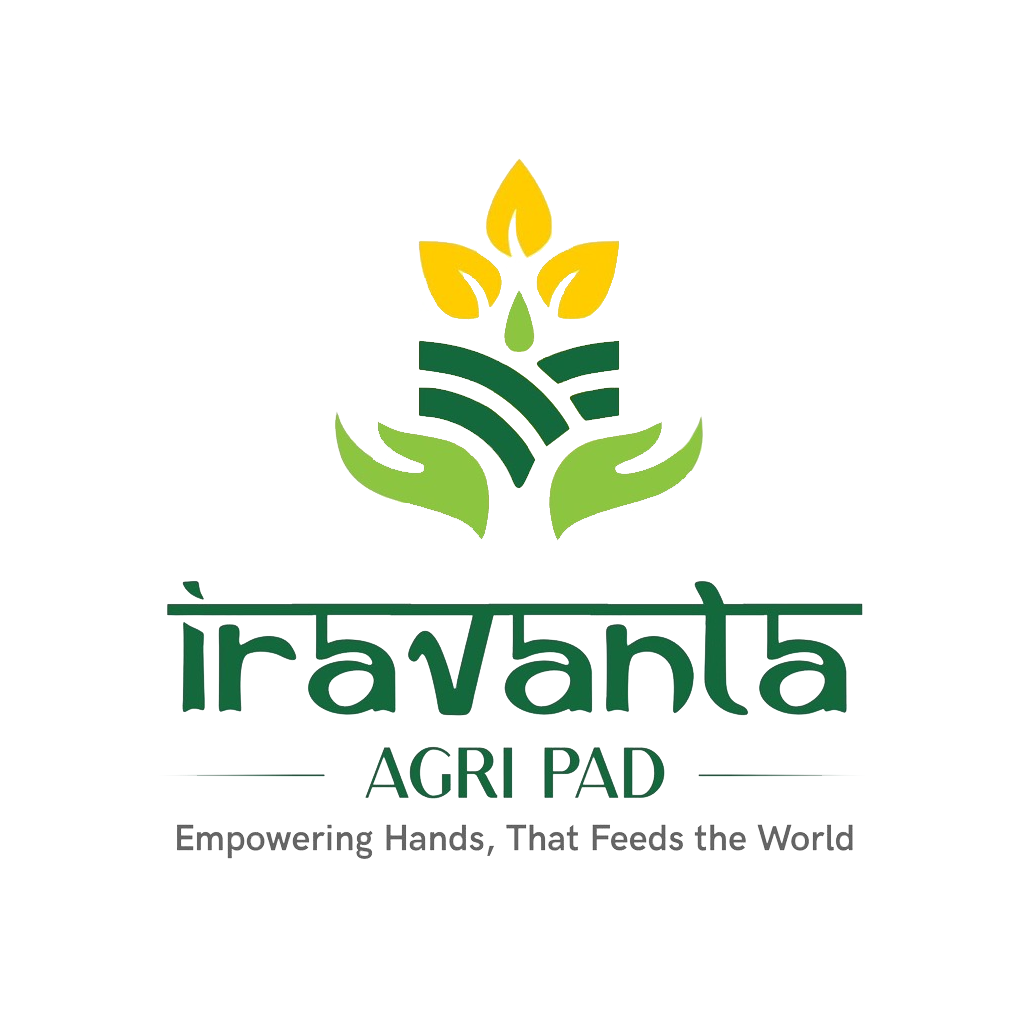logo-img